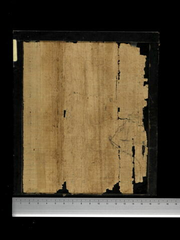 papyrus documentaire, image 2/2