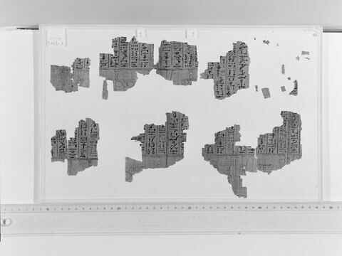 papyrus funéraire, image 2/2