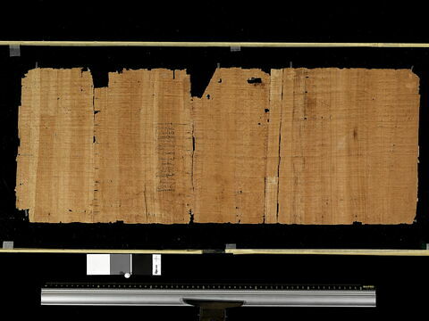 papyrus documentaire, image 2/2