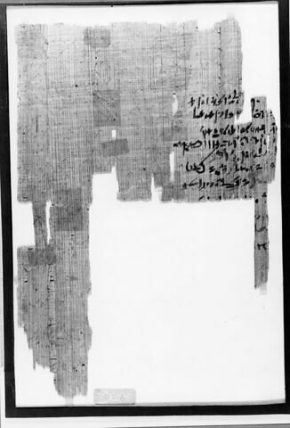 papyrus documentaire, image 2/2