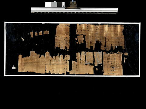 papyrus documentaire, image 2/2