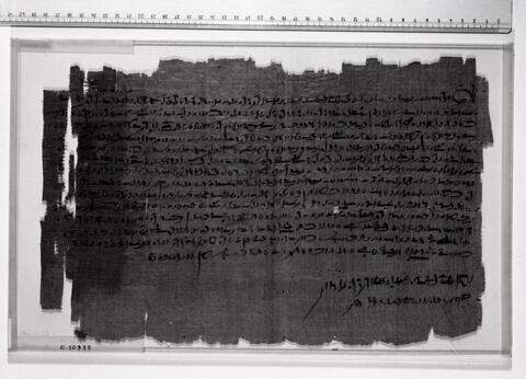 papyrus documentaire, image 5/6