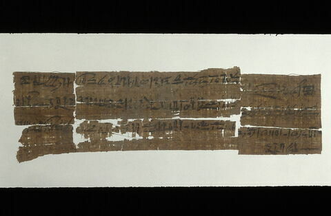 papyrus documentaire, image 5/6