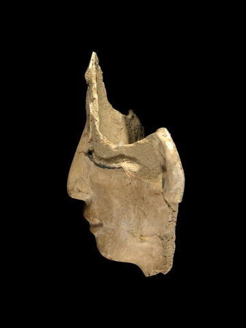 masque de momie, image 3/4