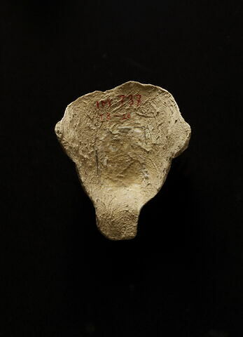 masque de momie, image 6/8