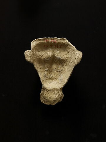 masque de momie, image 2/4