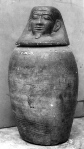 vase canope ; avec contenu, image 7/7