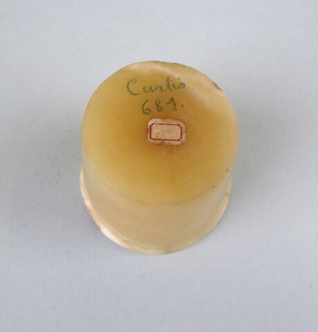 gobelet rectiligne ; couvercle de vase circulaire plat, image 3/5