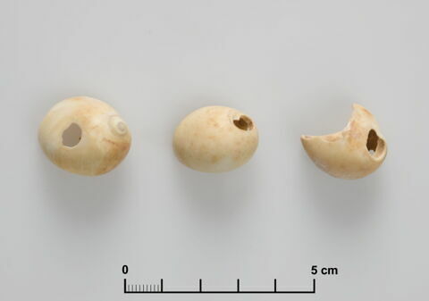 perles  ; coquillage, image 2/4