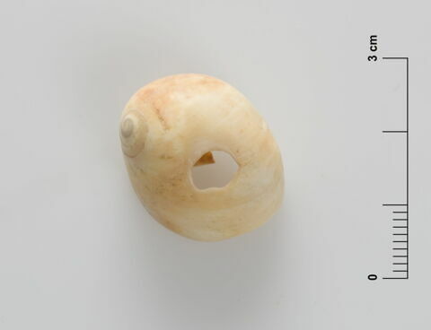 perles  ; coquillage, image 3/4