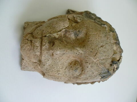 masque de momie, image 2/3