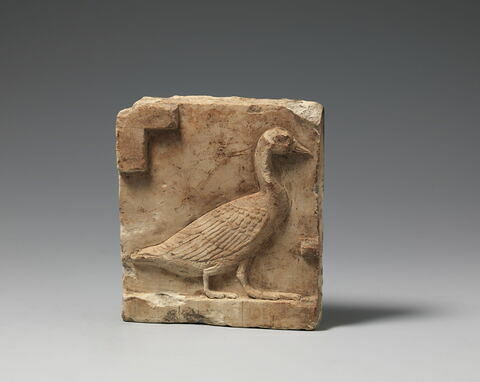 modèle de sculpteur