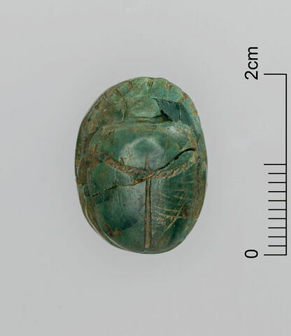 scarabée, image 3/3
