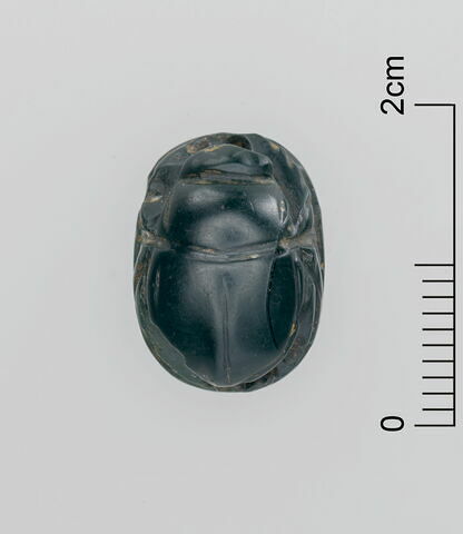 scarabée, image 3/3