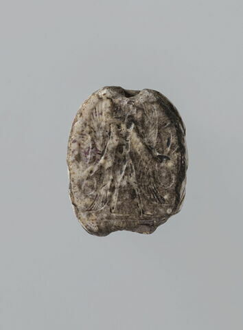 scarabée, image 2/4