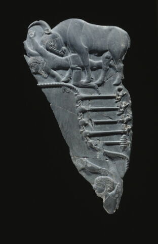 Palette au taureau, image 4/13