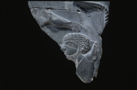Palette au taureau, image 7/13