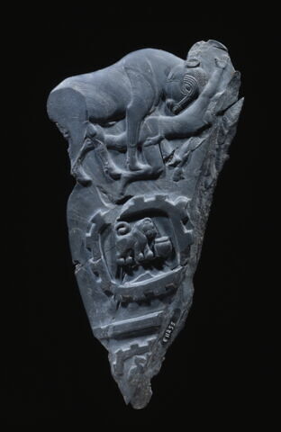 Palette au taureau, image 8/13
