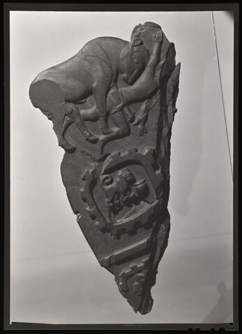 Palette au taureau, image 2/13