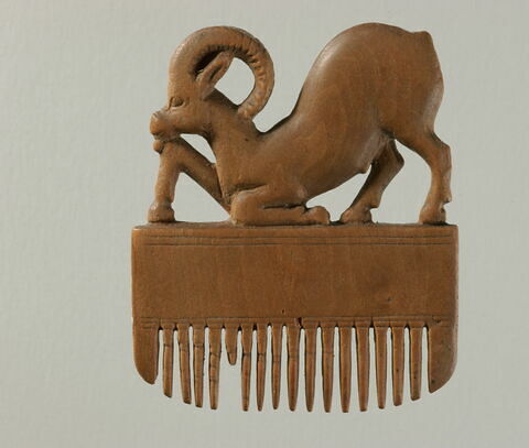 peigne simple, image 2/2