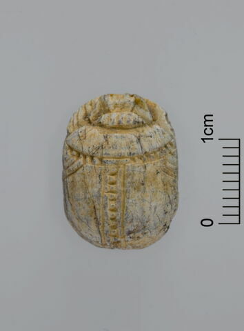 scarabée, image 3/3