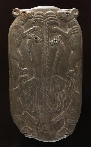 Palette aux quatre canidés, image 2/2