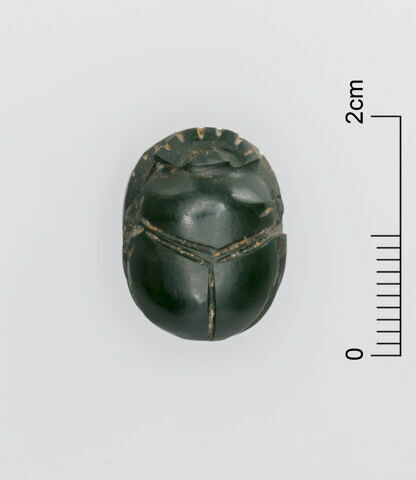 scarabée, image 3/3