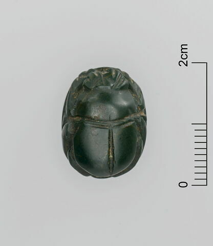 scarabée, image 3/3