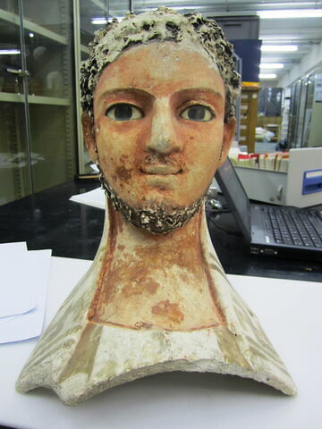 masque-plastron, image 2/11