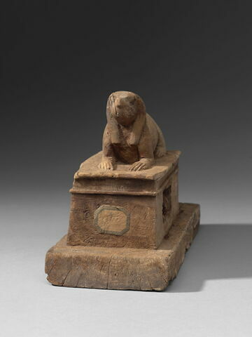 sarcophage d'animal ; élément momifié, image 2/8