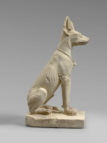 Chien d'Assiout, image 3/7