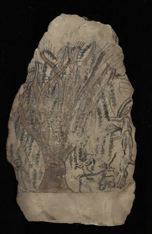 ostracon figuré, image 3/3