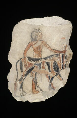 ostracon figuré, image 3/3