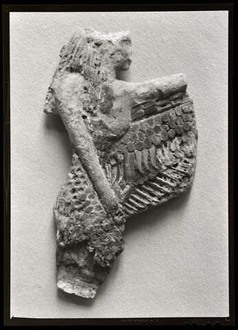 applique ; naos, image 2/2