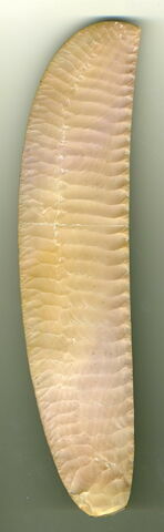 couteau ripple flake, image 2/3