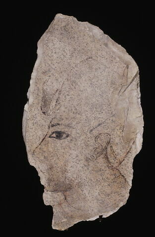 ostracon figuré, image 4/4