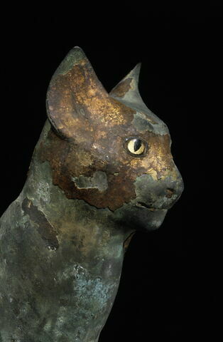 cercueil de chat ; momie de chat, image 9/9