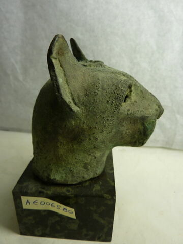 cercueil de chat