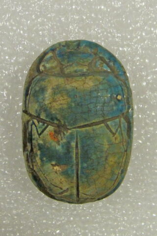 scarabée, image 2/7