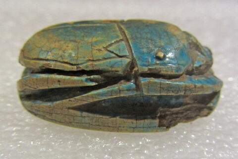 scarabée, image 3/7