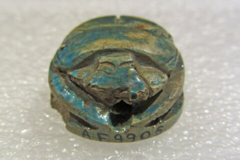 scarabée, image 5/7