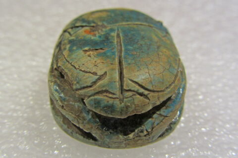 scarabée, image 6/7