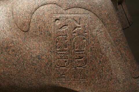 Sphinx de Tanis, image 9/11