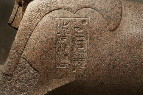 Sphinx de Tanis, image 11/11