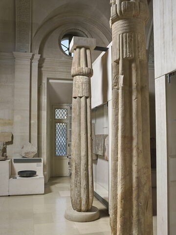 colonne papyriforme fasciculée, image 6/9