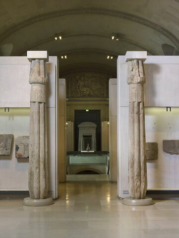 colonne papyriforme fasciculée, image 7/8