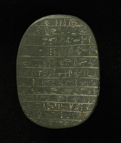 scarabée de cœur, image 2/2