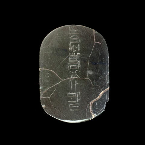scarabée de cœur, image 3/8