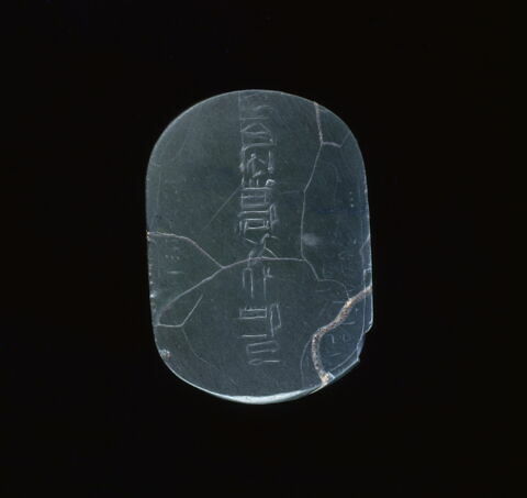 scarabée de cœur, image 5/8