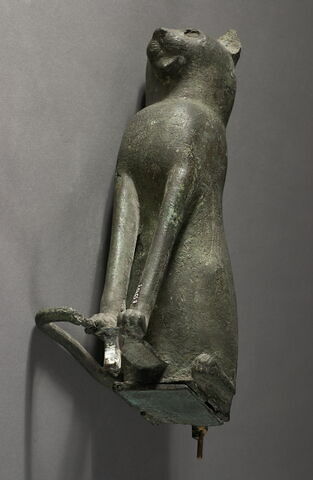 cercueil de chat